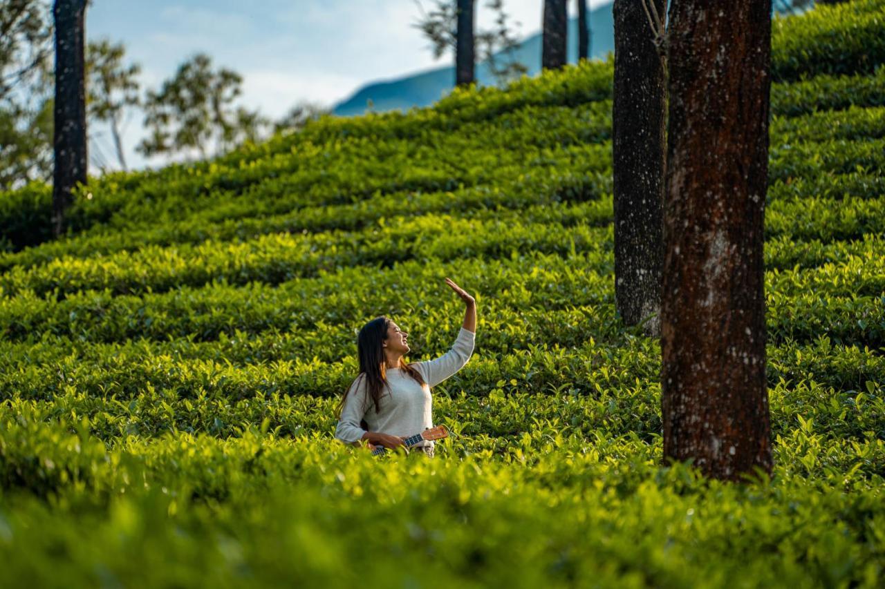 Zostel Plus Wayanad Kalpetta Esterno foto